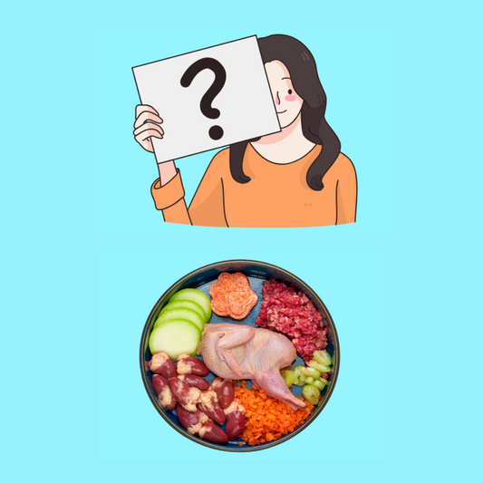 Breaking Down a Raw Food Diet: Essential Components