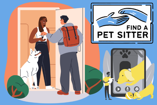 Professional Pet Sitters Week: The Unsung Heros of Pet Care