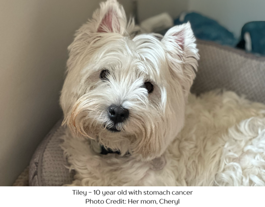 Tiley - 10 year old with stomach cancer and beyond. Photo Credit: Her Mom Cheryl