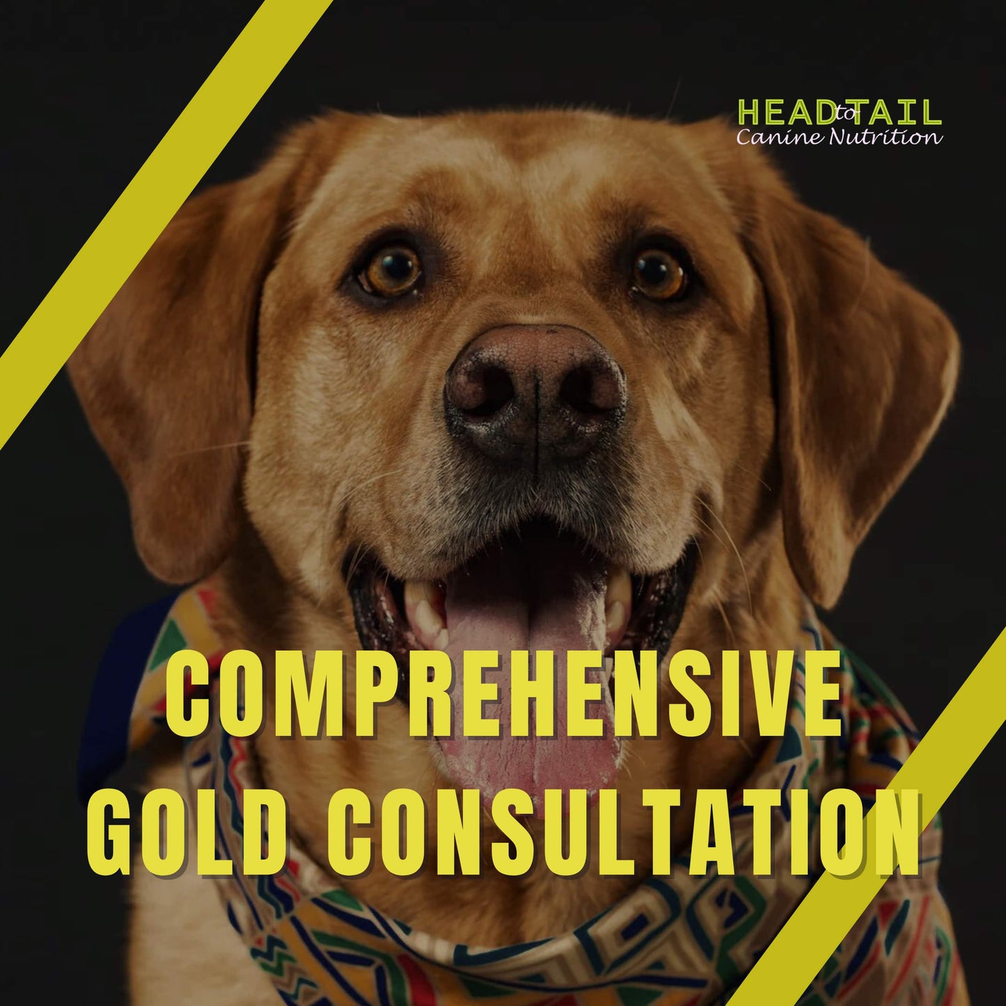 Comprehensive Gold Consultation $219 includes $49/deposit