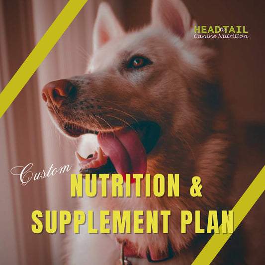 Custom Nutrition and Supplement Plan $189 includes $49/deposit Ideal for Healthy Dogs