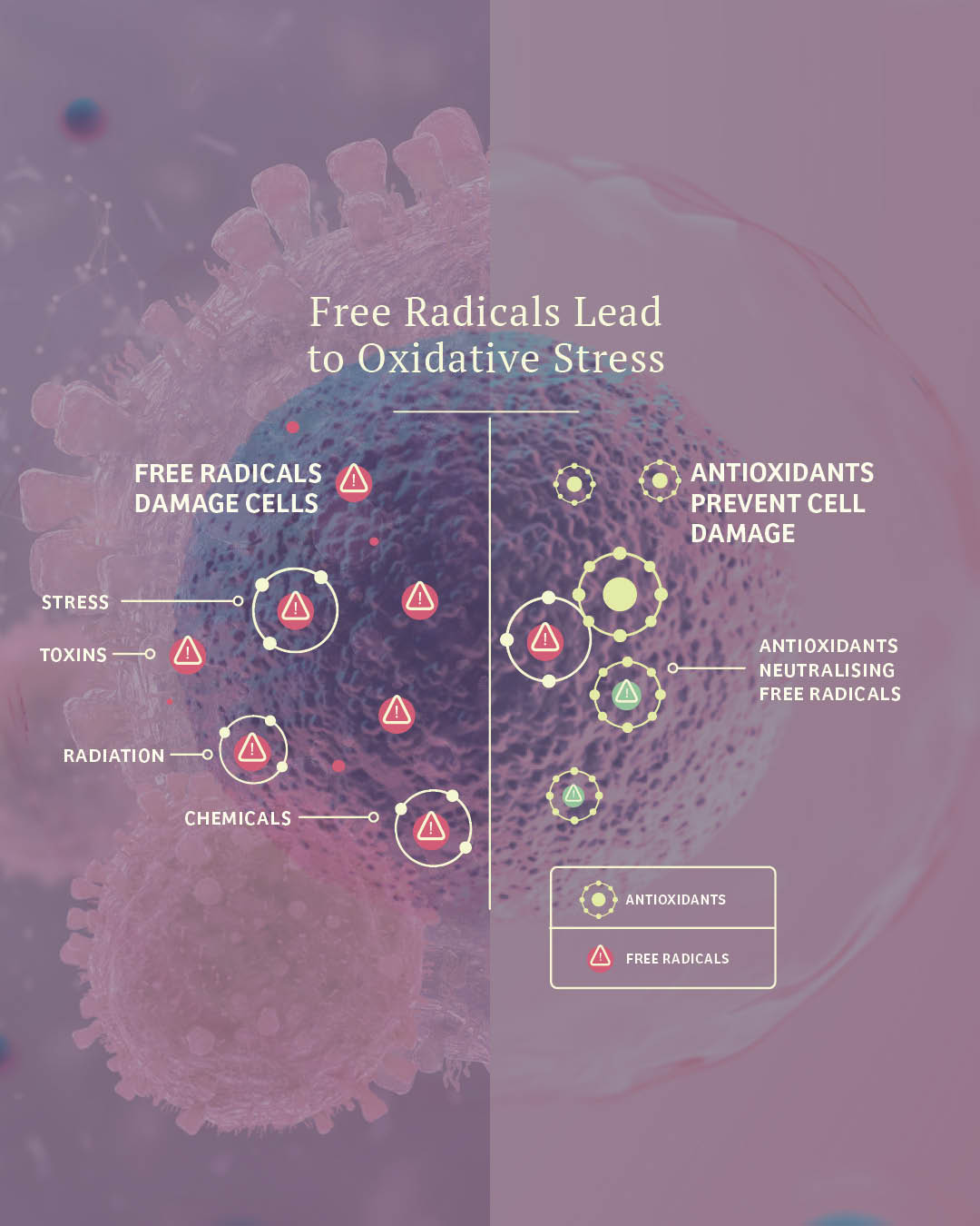 Vital Defense | Cellular Support