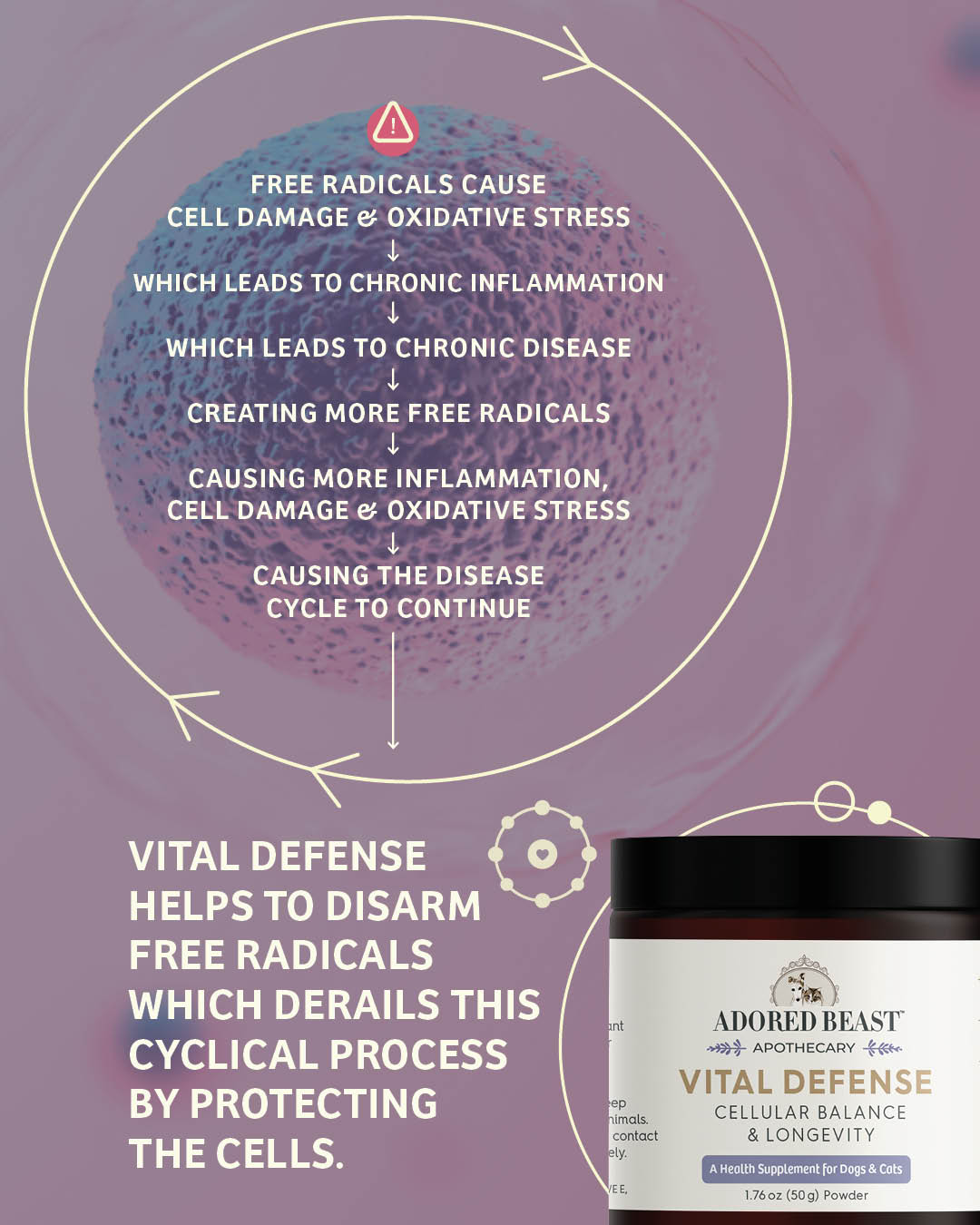 Vital Defense | Cellular Support
