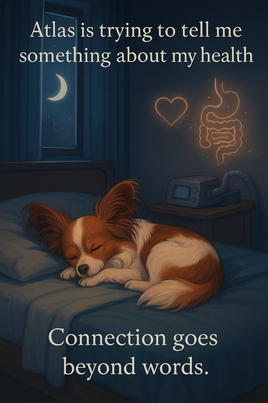 When My Dog’s Midnight Tummy Troubles Turned Into a Wake-Up Call—Literally
