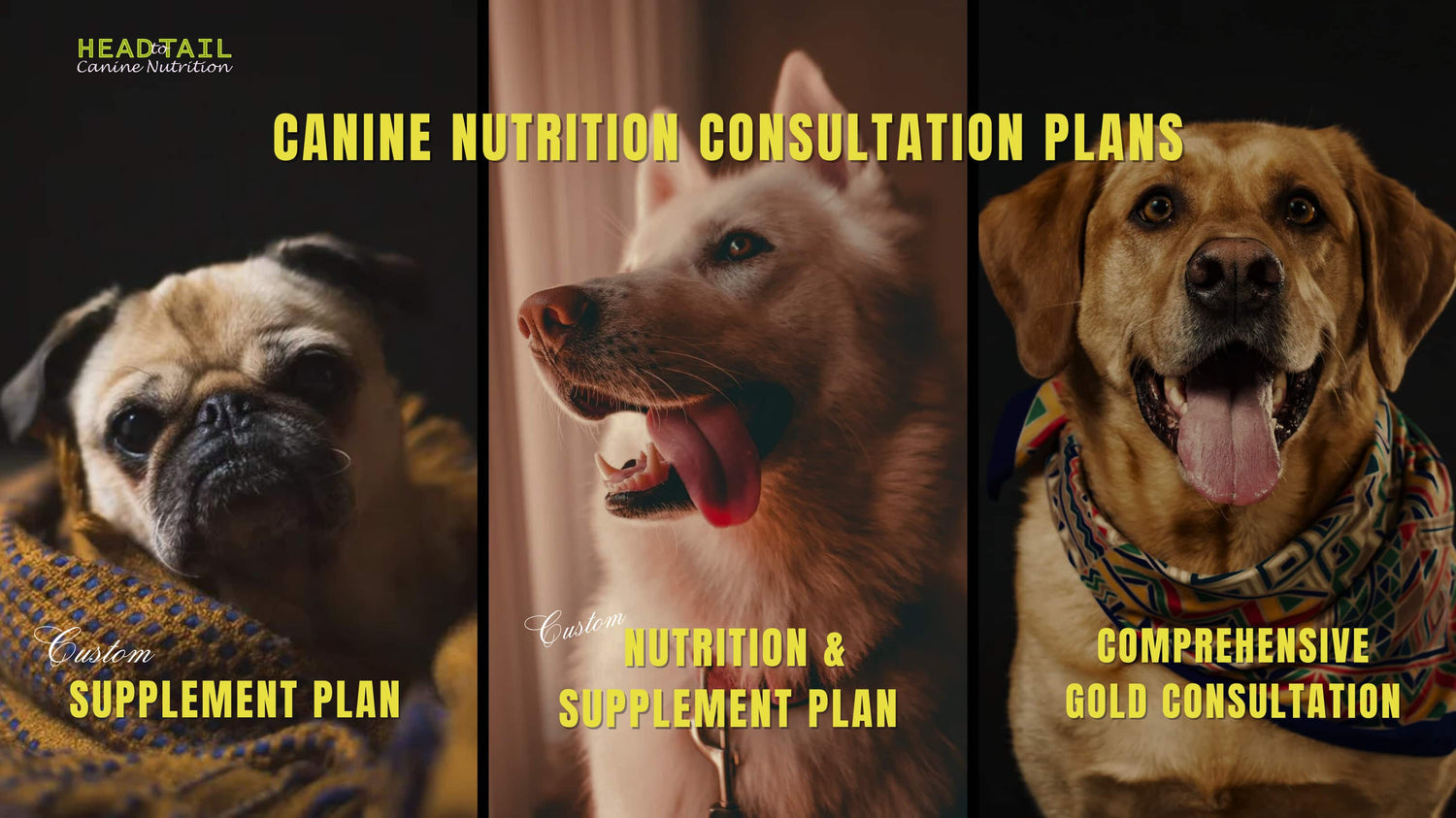 Donna's Canine Nutrition Consultation Packages
