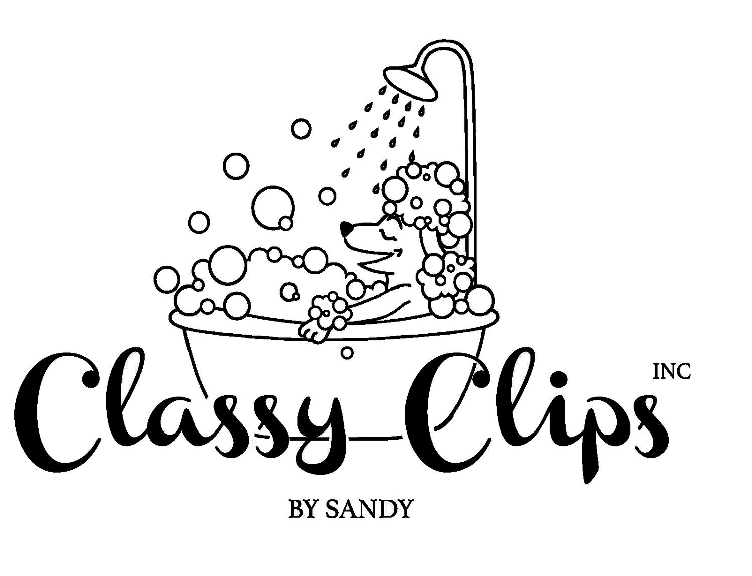 Classy Clips by Sandy