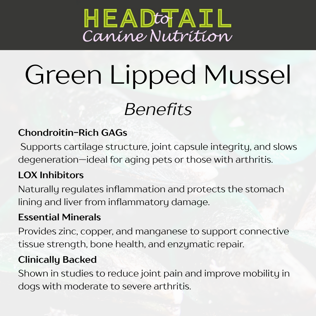 Green Lipped Mussel Supplement for Cat and Dog