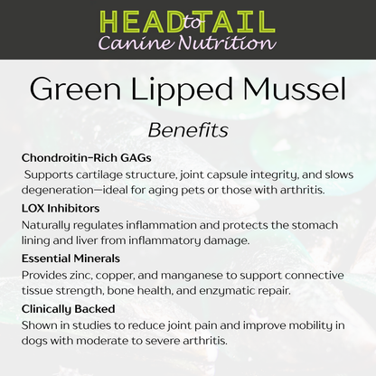 Green Lipped Mussel Supplement for Cat and Dog