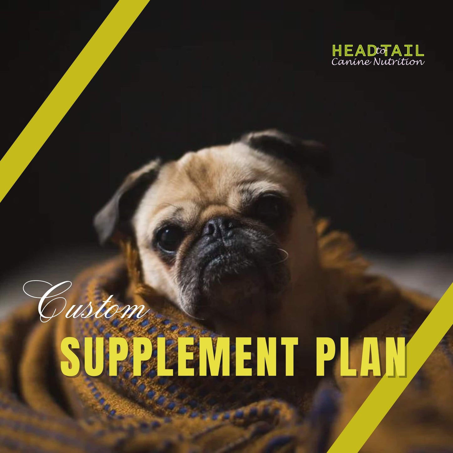 Custom Supplement Plan