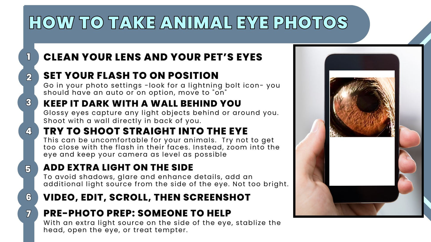 Iridology Assessment