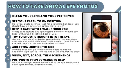 Iridology Assessment