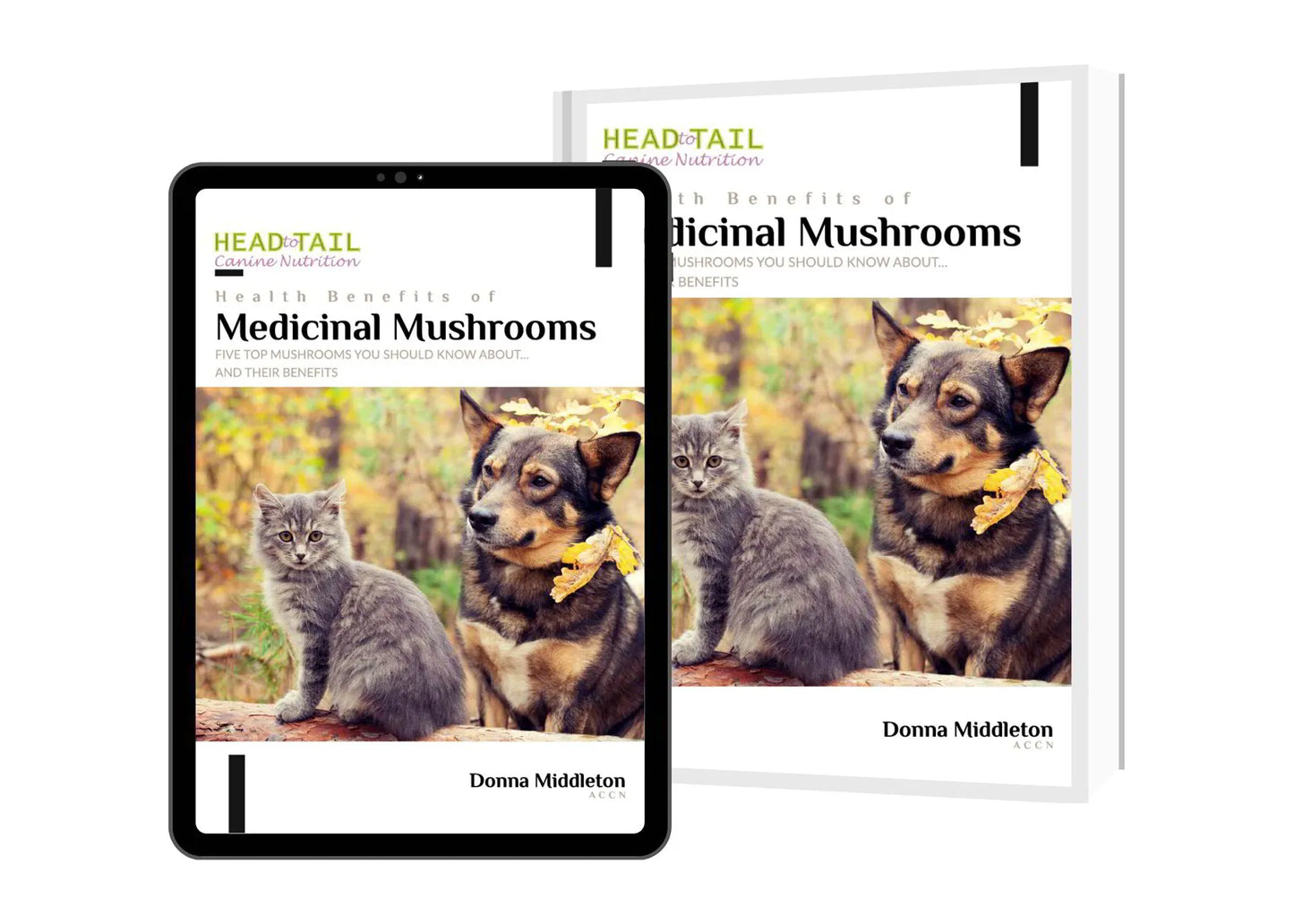 E-Book - Health Benefits of Medicinal Mushrooms (FREE with Mushroom Purchase)