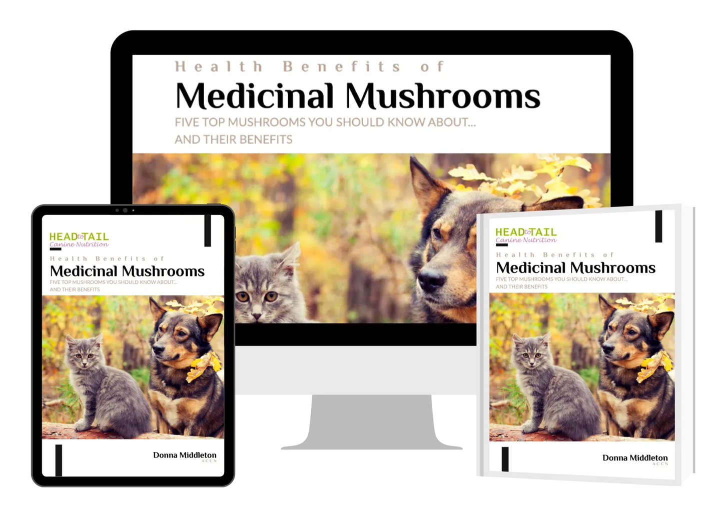 E-Book - Health Benefits of Medicinal Mushrooms (FREE with Mushroom Purchase)