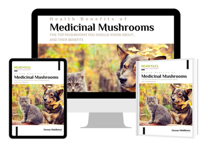 E-Book - Health Benefits of Medicinal Mushrooms (FREE with Mushroom Purchase)