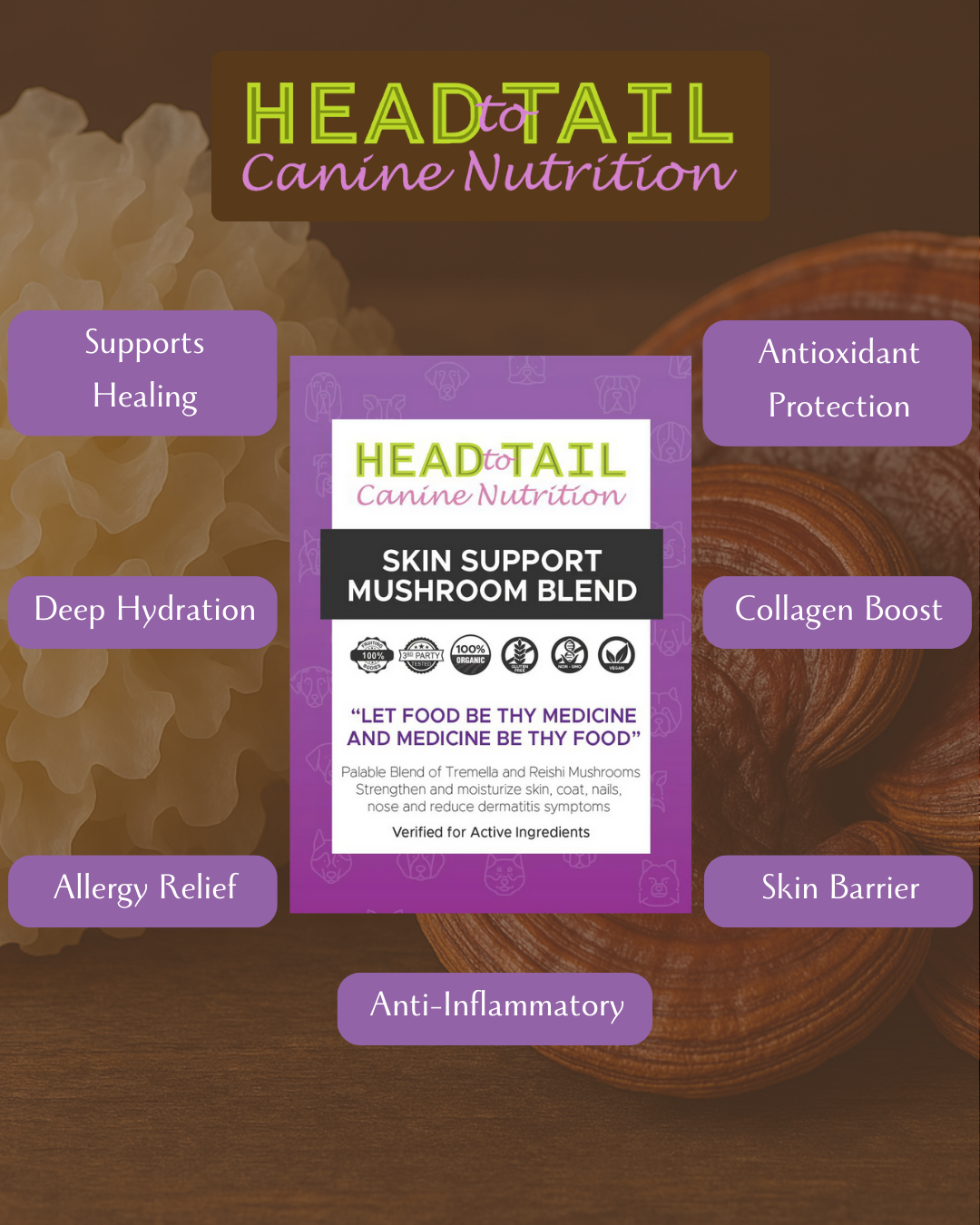 Skin Support Mushroom Blend