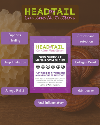 Skin Support Mushroom Blend