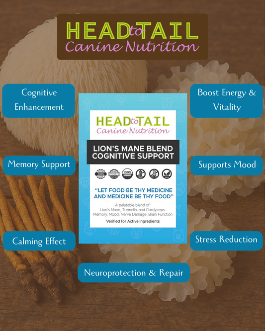 Cognitive Support Mushroom Blend
