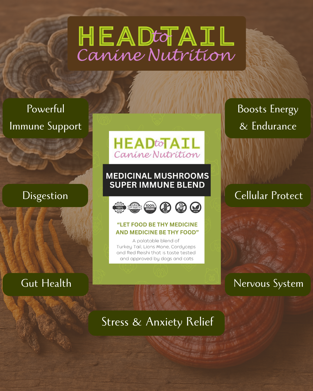 Super Immune Mushroom Blend