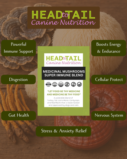 Super Immune Mushroom Blend