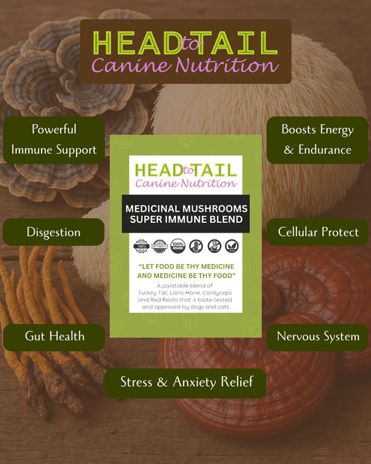 Super Immune Mushroom Blend