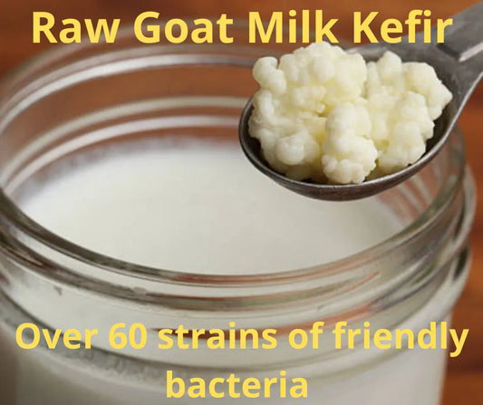 Raw Goat Milk Kefir