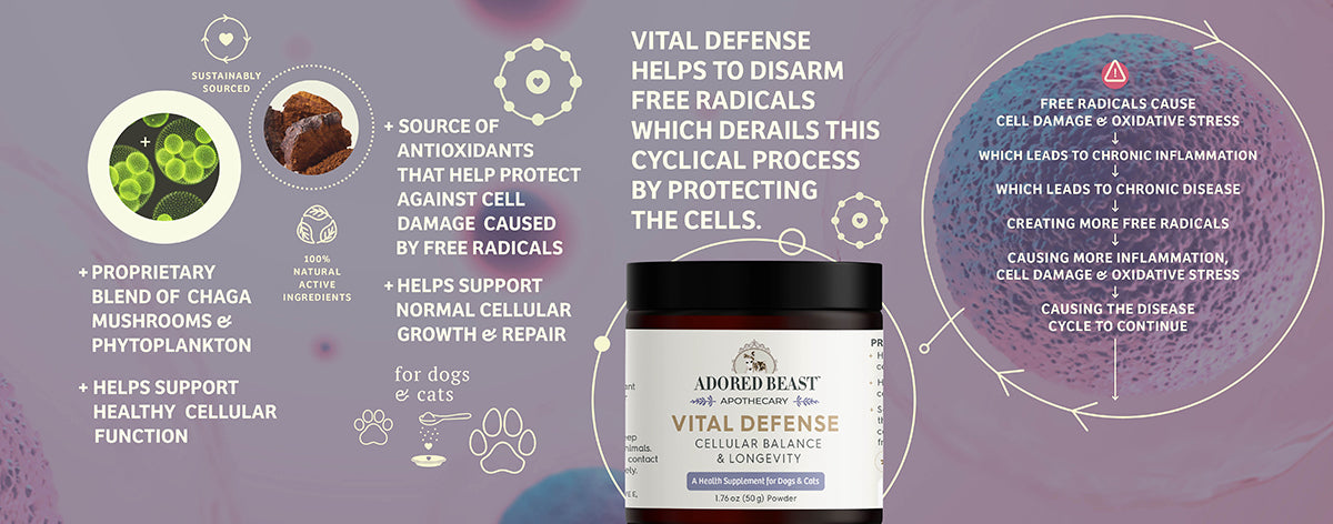 Vital Defense | Cellular Support