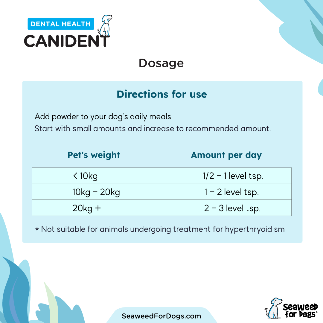 Canident - Clean Dogs' Teeth, Fix Bad Breath, and Remove Plaque