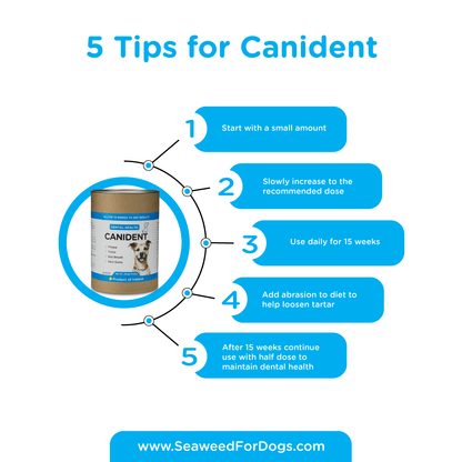 Canident - Clean Dogs' Teeth, Fix Bad Breath, and Remove Plaque