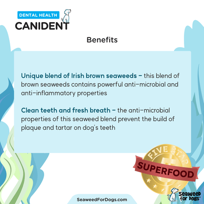 Canident - Clean Dogs' Teeth, Fix Bad Breath, and Remove Plaque