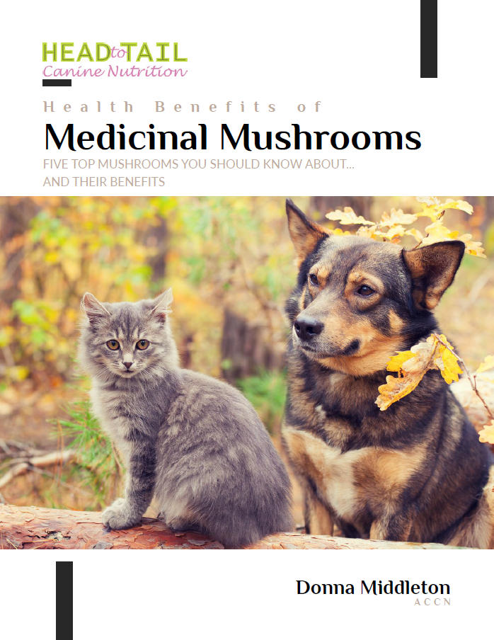 E-Book - Health Benefits of Medicinal Mushrooms (FREE with Mushroom Purchase)