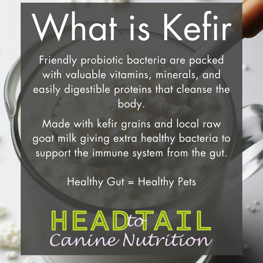 Raw Goat Milk Kefir